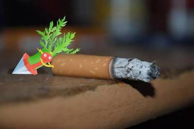 許昌電石獸:河南籍&ldquo;寶可夢(mèng)&rdquo;,實(shí)力堪比皮卡丘!丨百城神獸圖鑒