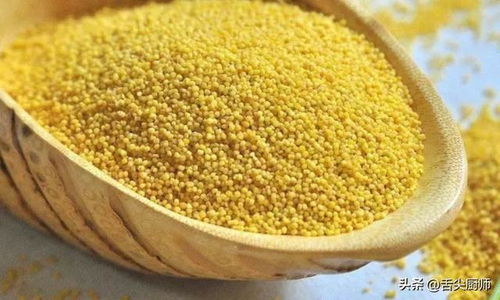 小米這樣吃，蒸一炒香比肉還誘人